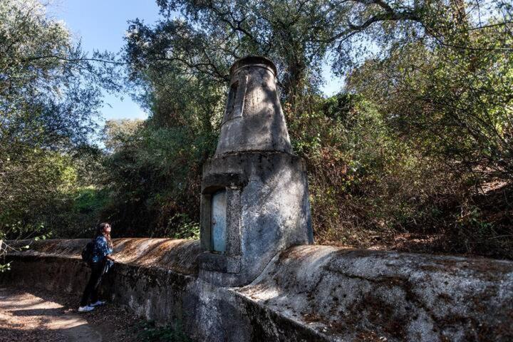 Monte Do Serrado De Baixo - T4 Évora Buitenkant foto